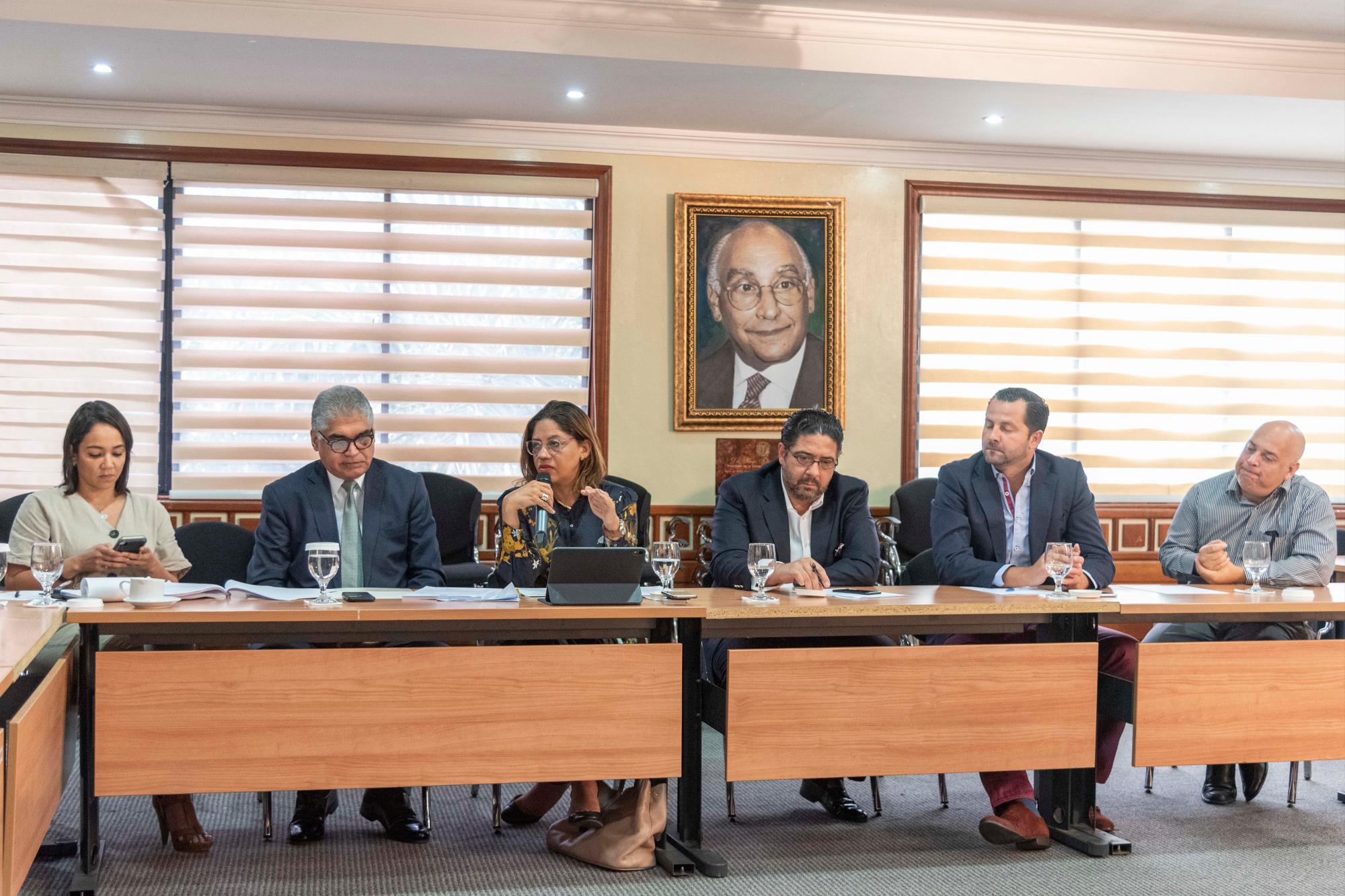 La directora del Departamento de Planificación y Proyectos (DPP) del Ministerio de Turismo (MITUR), Maribel Villalona Núñez, durante reunión con la Comisión de Hacienda. 