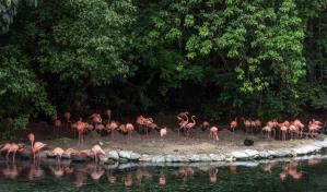 El Zoo Dom ya está listo para recibir a los visitantes