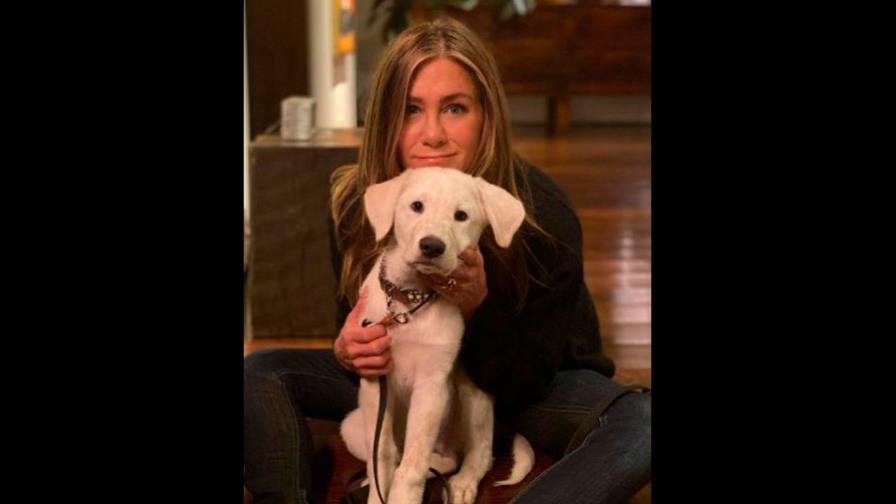 ¡Datos curiosos de Jennifer Aniston en su cumpleaños! ¡Datos curiosos de Jennifer Aniston en su cumpleaños!