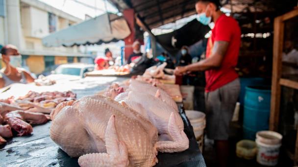 Escasez de pollo es una realidad; clientes solo encuentran “patas, cocotes, mollejas y asaduras”