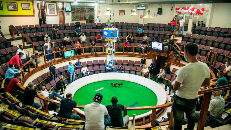 El Bonetti Burgos reabre las lidias de gallos con miras en protocolo