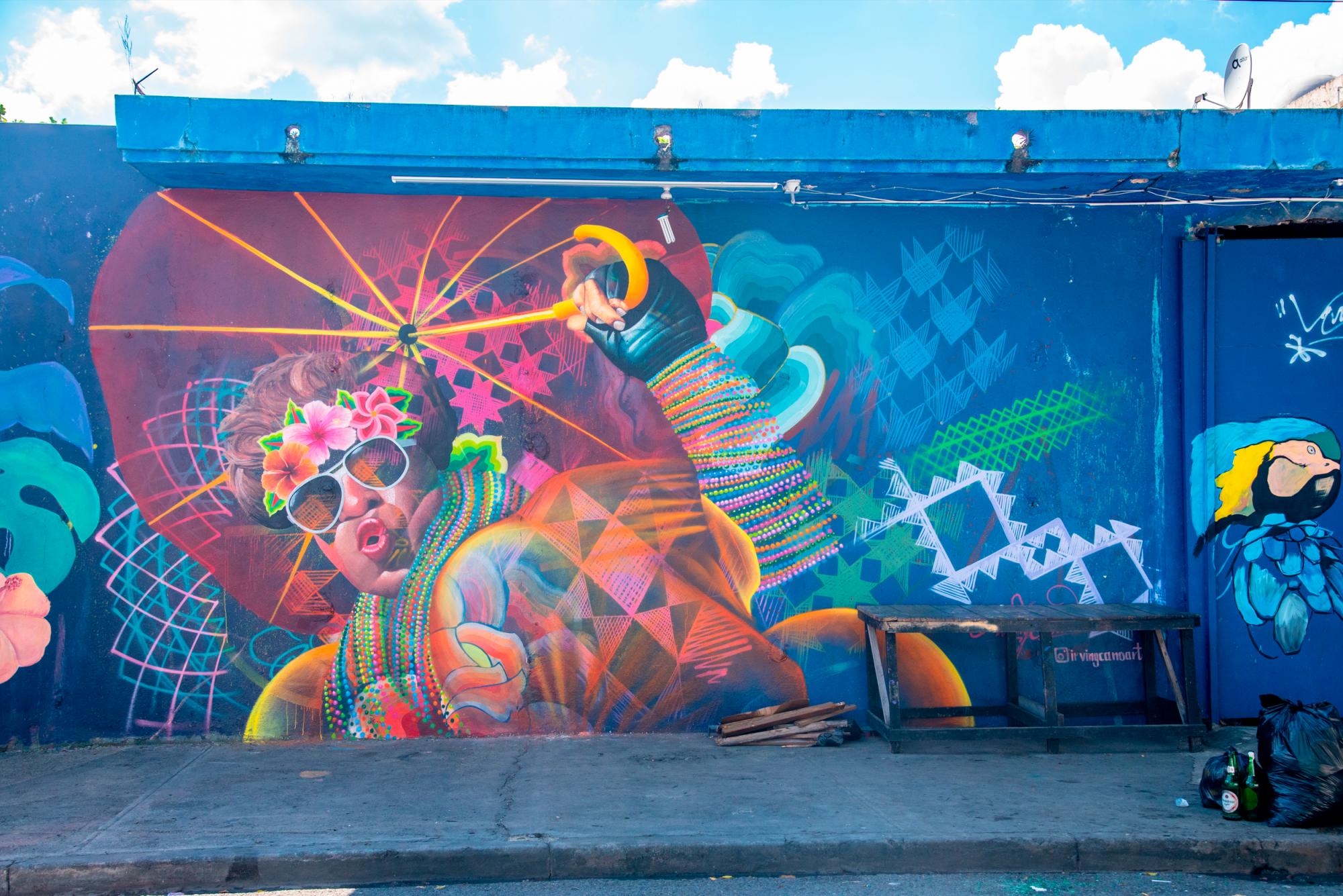 El mural del artista mexicano Irving Cano.