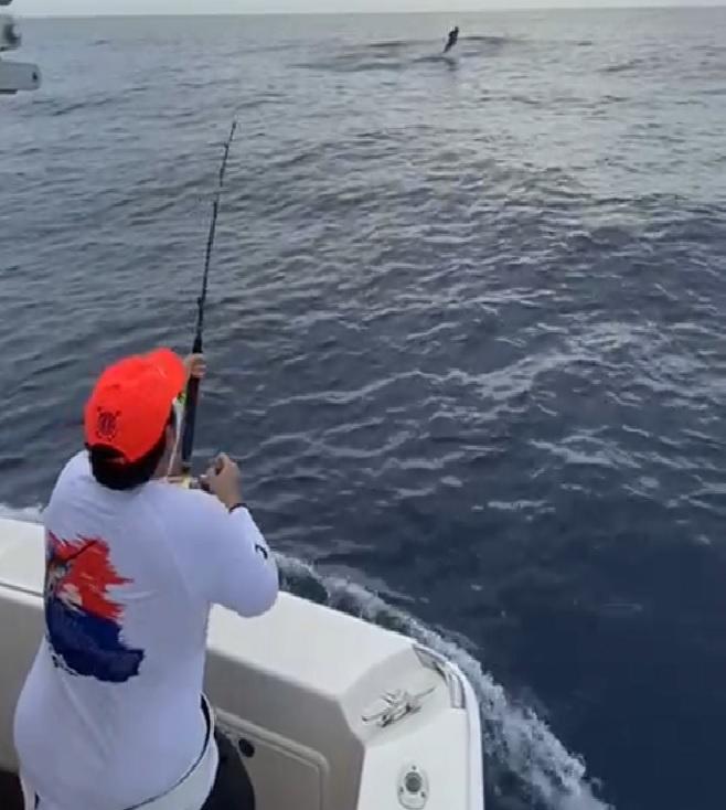 Arrancó el torneo de pesca al Marlin Azul en opción a Copa Seguros Banreservas