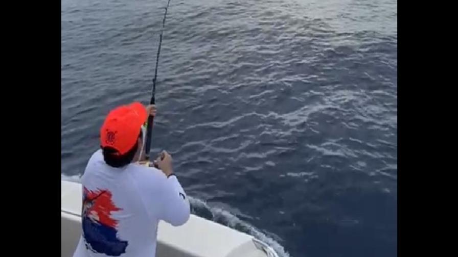 Arrancó el torneo de pesca al Marlin Azul en opción a Copa Seguros Banreservas Arrancó el torneo de pesca al Marlin Azul en opción a Copa Seguros Banreservas