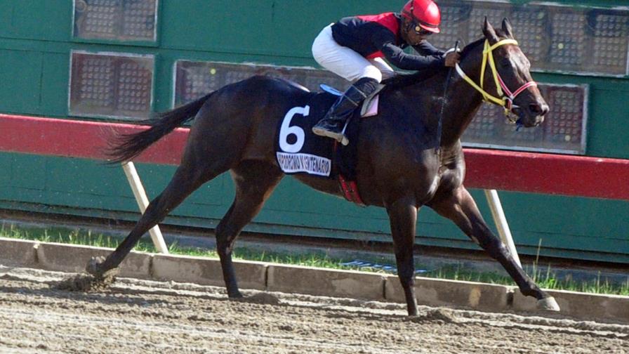 Poolpote se acerca a los RD$7 millones de pesos; regresan las carreras al V Centenario