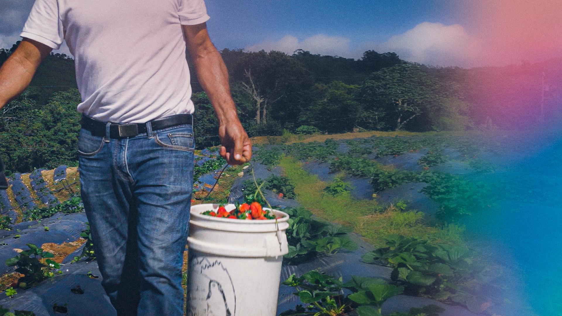 Imagen de la campaña “Bon Campo”.