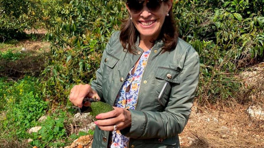 Embajadora Bernstein visita proyecto del principal productor de aguacates del país Embajadora Bernstein visita proyecto del principal productor de aguacates del país