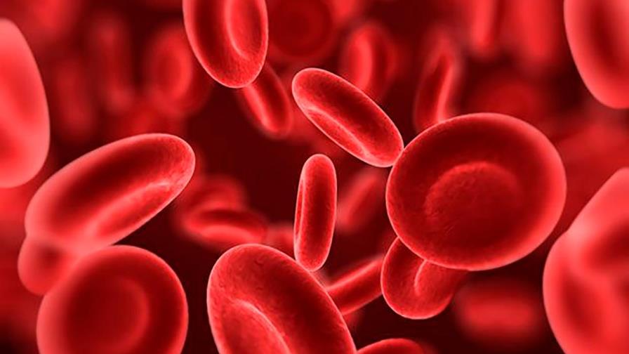 El trasplante: única cura para la anemia falciforme