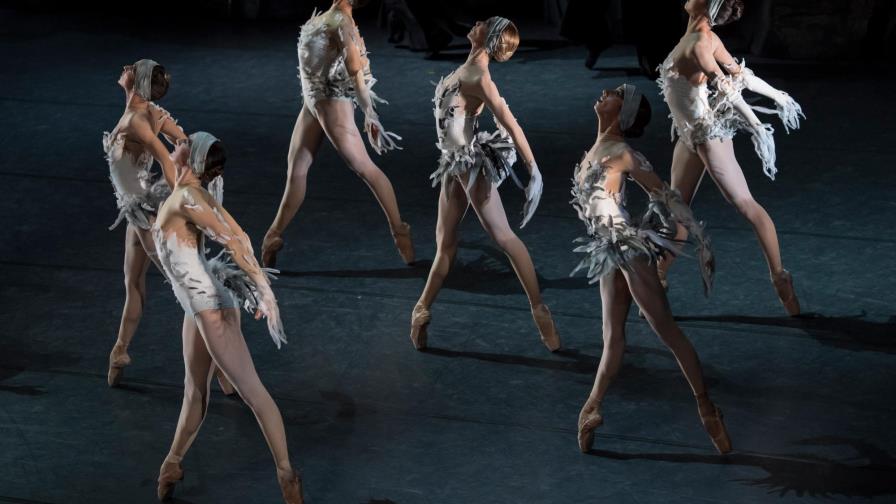 Llega la versión contemporánea del Lago de los Cisnes