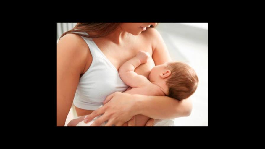 La leche materna, vehículo de transmisión de anticuerpos
