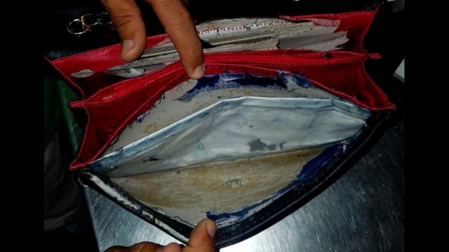 Perro detecta droga en una cartera de mujer en el aeropuerto Las Américas