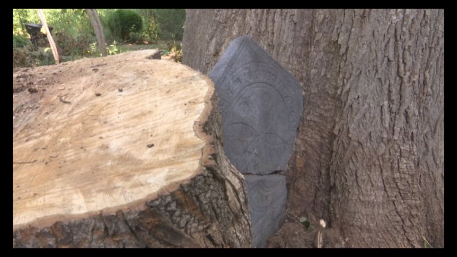 Pareja encuentra una lápida de casi 300 años en su jardín 