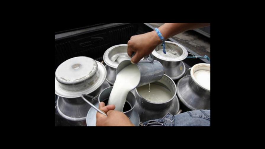 Productores anuncian plan de lucha en busca de un aumento de la leche en finca 