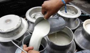 Hoy se celebra el D&iacute;a mundial de la leche