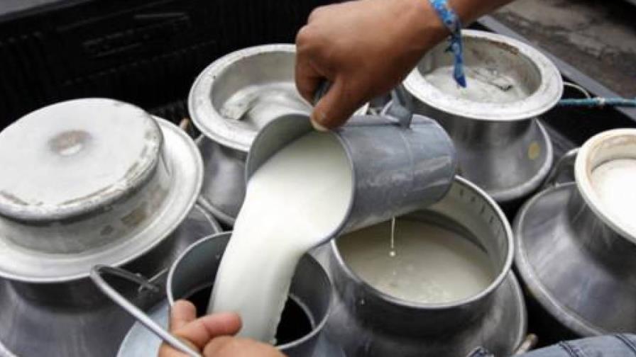 Hoy se celebra el Día mundial de la leche Hoy se celebra el Día mundial de la leche