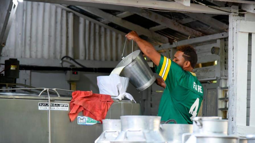 Ganaderos de Puerto Plata atraviesan difícil situación por baja en las ventas