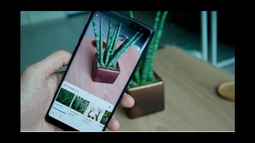 Desde identificar la raza de un animal hasta traducir textos: las acciones que permite Google Lens Desde identificar la raza de un animal hasta traducir textos: las acciones que permite Google Lens
