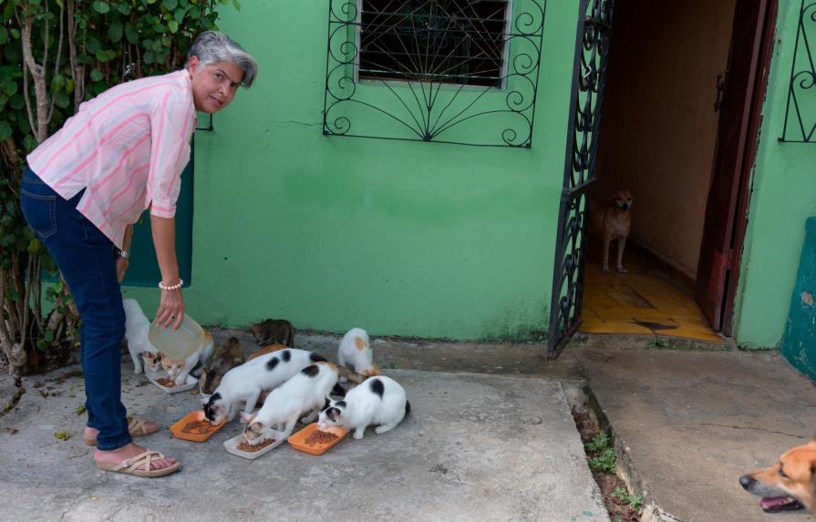 Amor por los animales: Vive con 22 perros y gatos que rescató de las calles