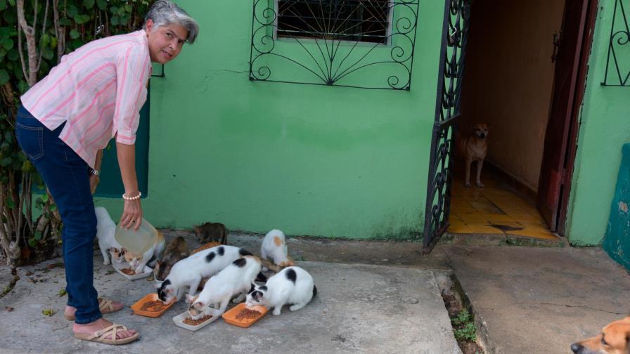 Amor por los animales: Vive con 22 perros y gatos que rescató de las calles