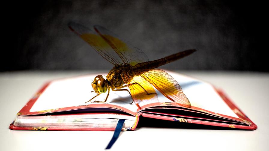 La mujer que no era un  libro en blanco