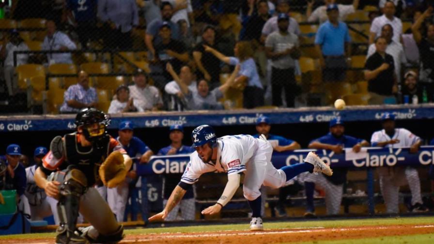 Licey reacciona ante unos Toros que todavía buscan su primera victoria Licey reacciona ante unos Toros que todavía buscan su primera victoria