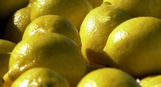 Importaciones de limones podrían afectar a sector dominicano 