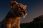 “The Lion King”, todos escuchan el rugido del rey 
más estrenos
