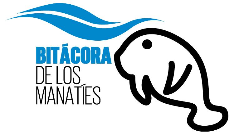 Infografía