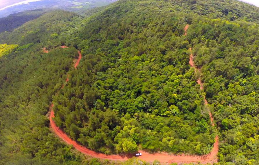 Ambientalistas aplauden retiro de Falcondo para explotar Loma Mirada