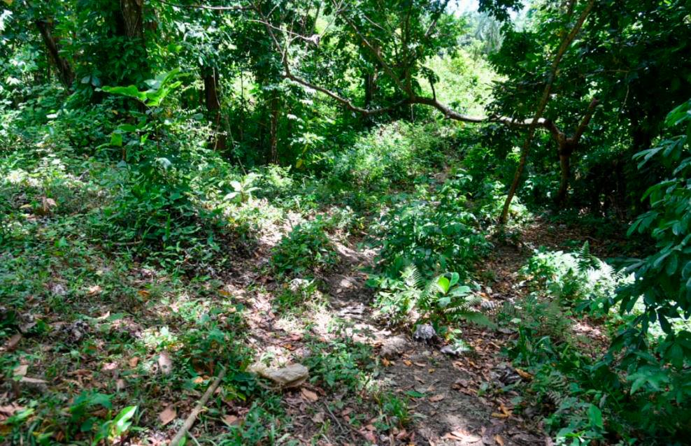 Lugar donde fue hallado el cuerpo de Ulloa Martínez. 