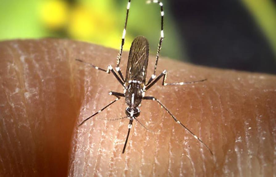 El dengue amenaza en  convertirse en epidemia