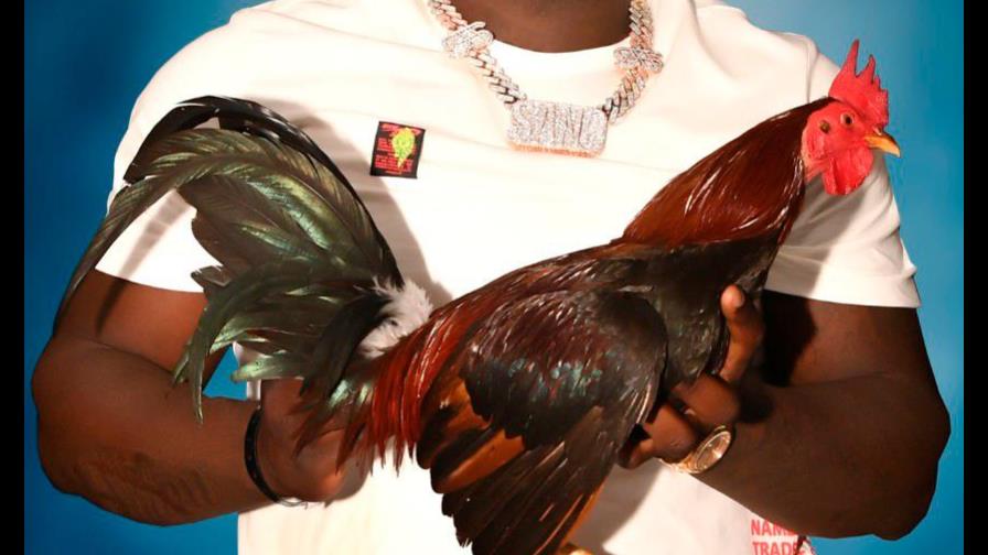 Peloteros amantes del gallerismo