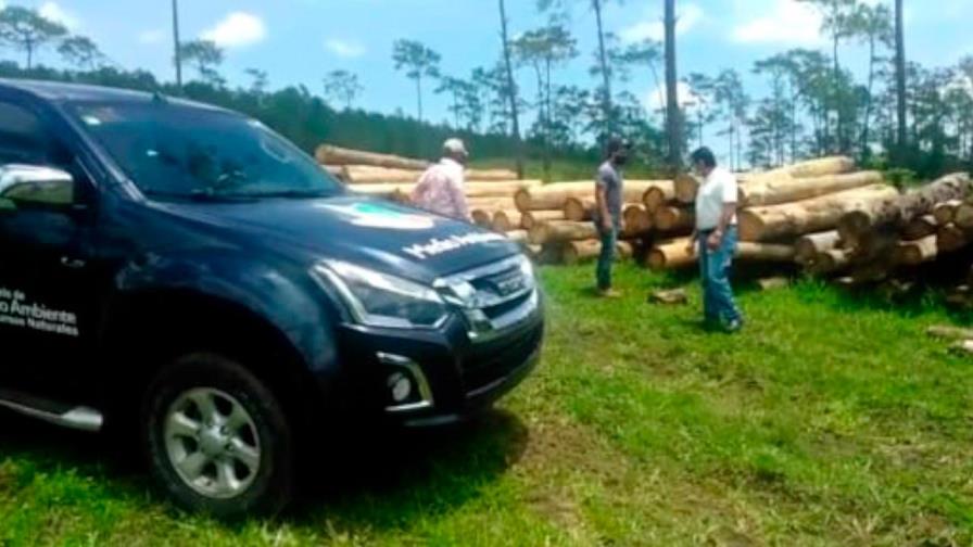 Medio Ambiente desmiente corte ilegal de madera en Santiago Rodríguez Medio Ambiente desmiente corte ilegal de madera en Santiago Rodríguez