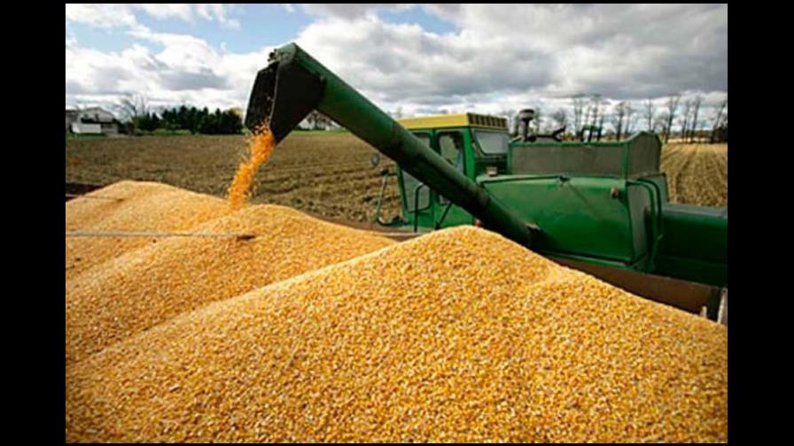 El costo de materias primas: el principal factor que afectó la competitividad en el primer trimestre 