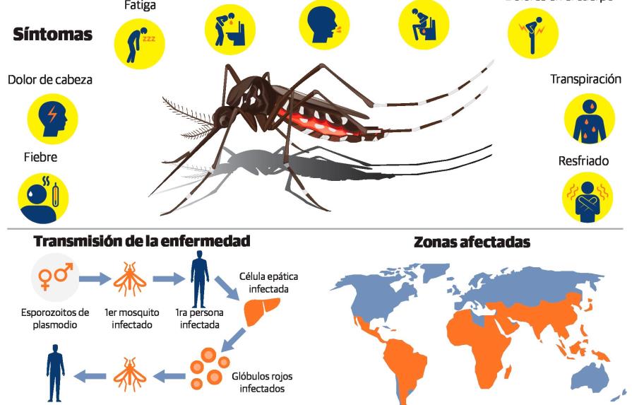 “Malaria o paludismo”, su detección a tiempo es vital
