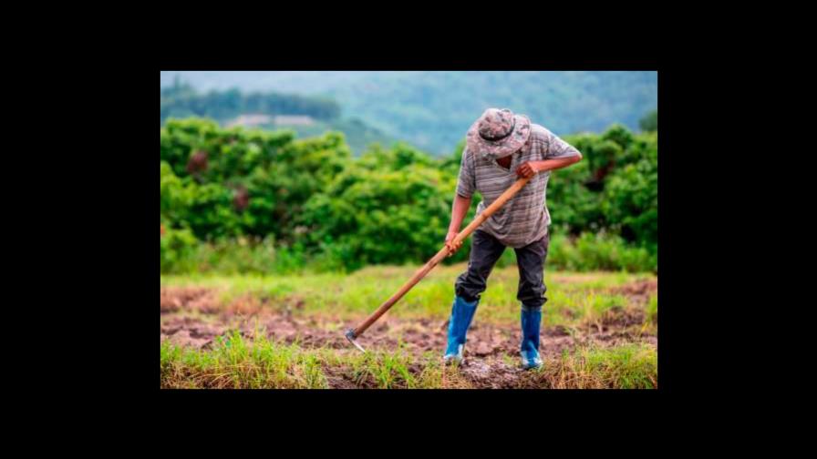 Sobreproducción agrícola