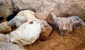 Encuentran restos de un mamut de hace m&aacute;s de 10,000 a&ntilde;os en centro de M&eacute;xico