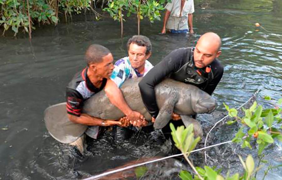 Lupita al momento que es rescatada en Luperón en 2008.