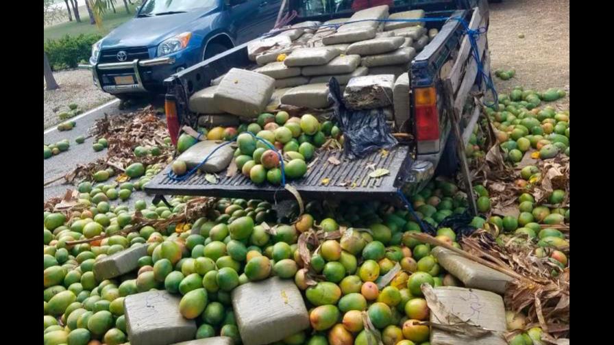 Ejército ocupa en Vicente Noble 701 libras de un vegetal presumiblemente Marihuana