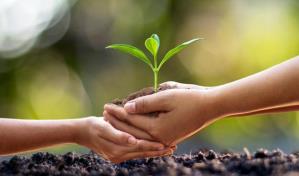 Ocho buenas prácticas diarias para ayudar con el medio ambiente