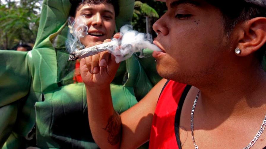 Ley para legalizar la marihuana en México genera dudas