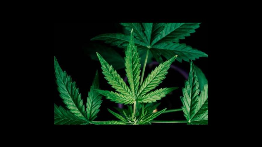 Impacto económico de legalizar la marihuana en EEUU