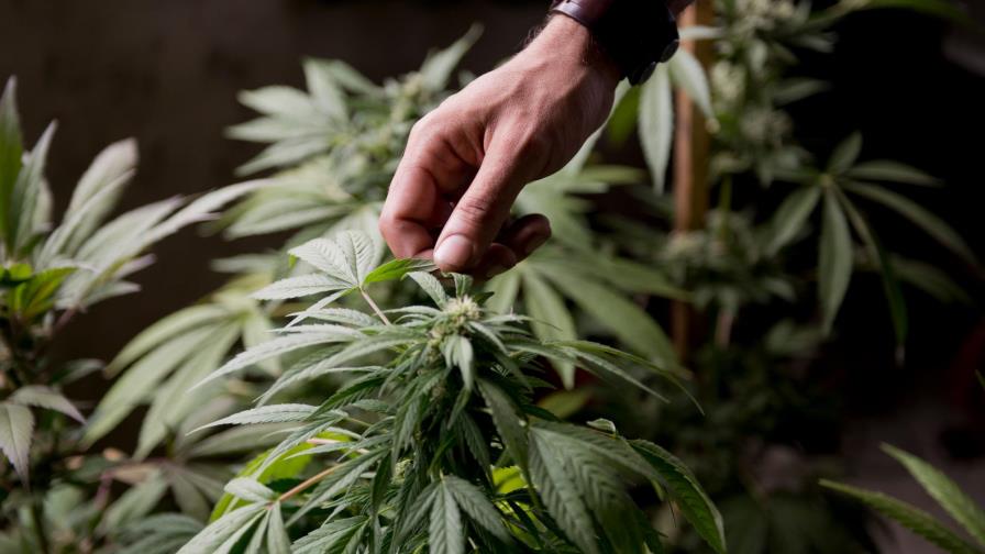  Los adictos gastan 150 mil millones de dólares al año en EE.UU.