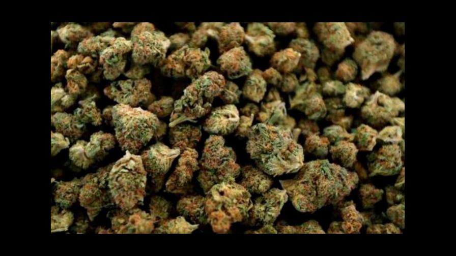 Nueva York da un nuevo paso hacia la implantación de la marihuana recreativa