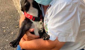 Ministerio Público someterá al abusador de la perra Trufa