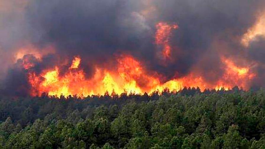 Incendio forestal en Marruecos arrasa más de 1.100 hectáreas en cuarto día
