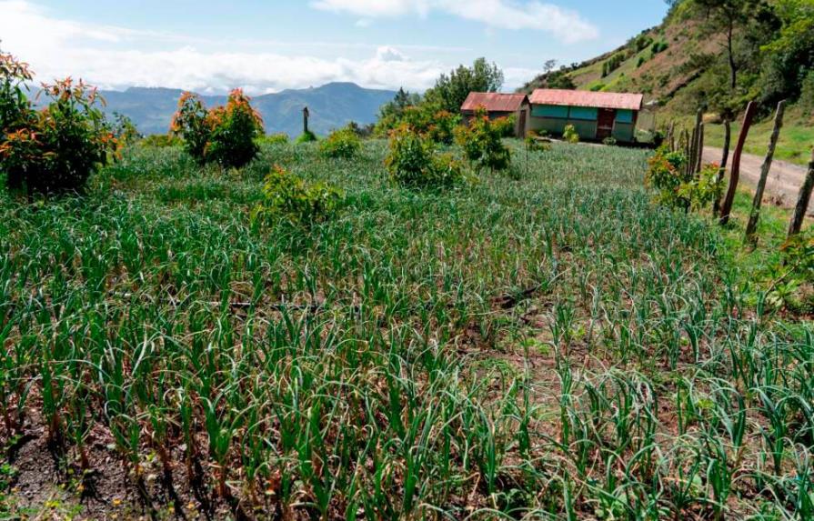 Piden al Gobierno dialogar con productores de Valle Nuevo ante prohibición actividades agropecuarias 