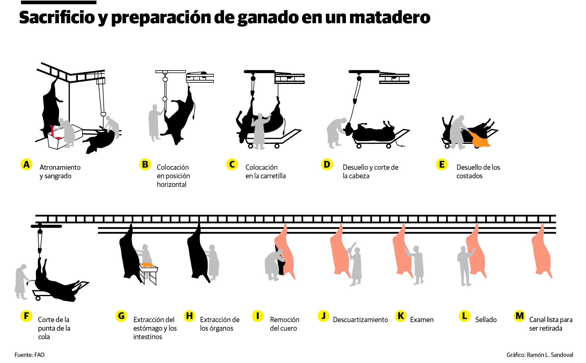 Infografía