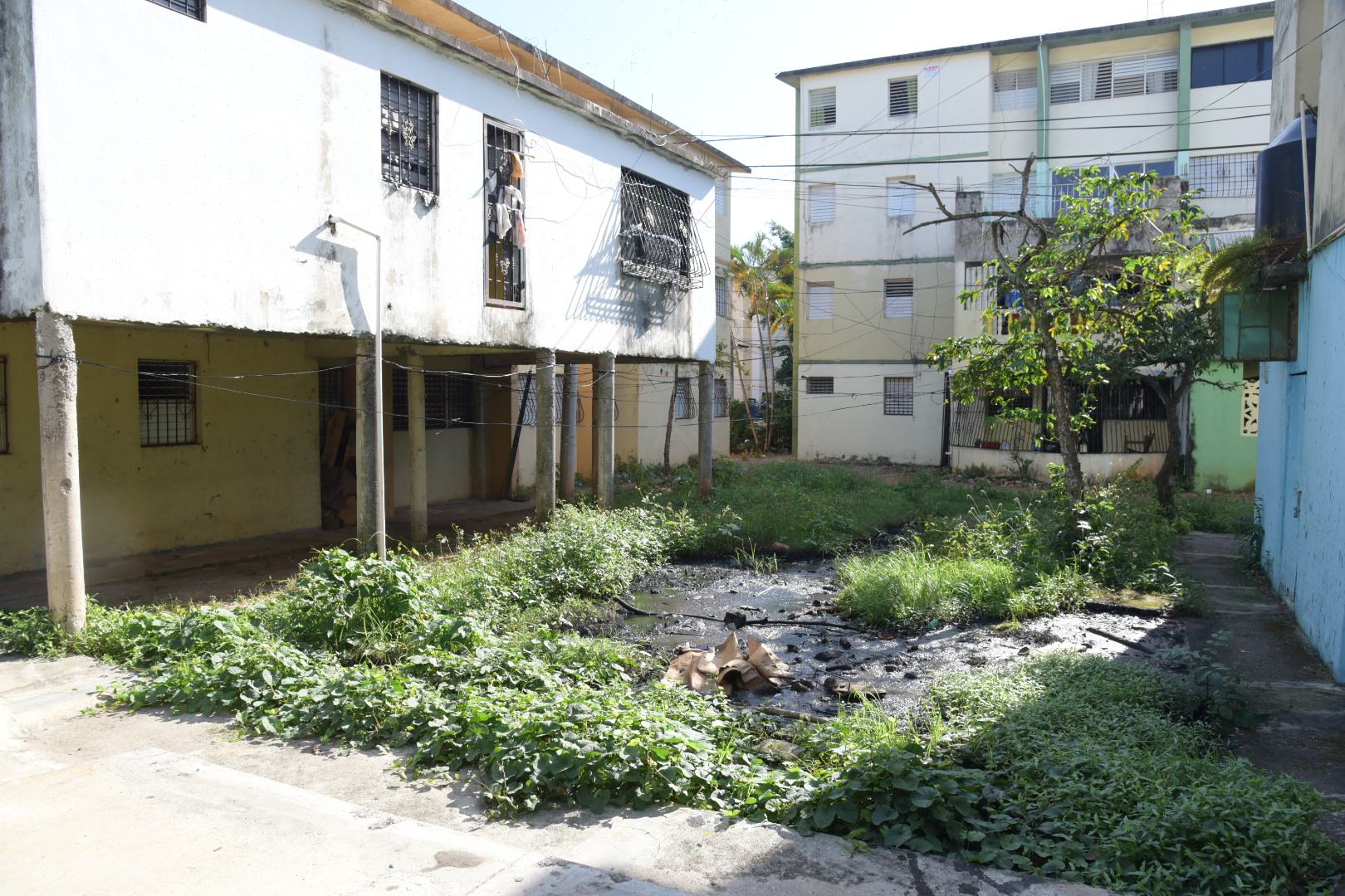 La situación es preocupante (José Justo Féliz)