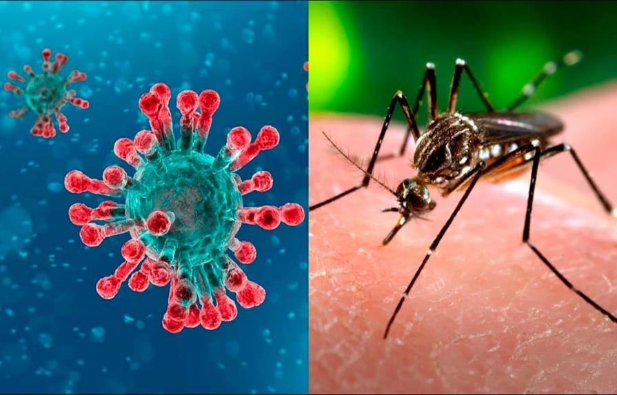 Coronavirus, dengue 
y otras amenazas